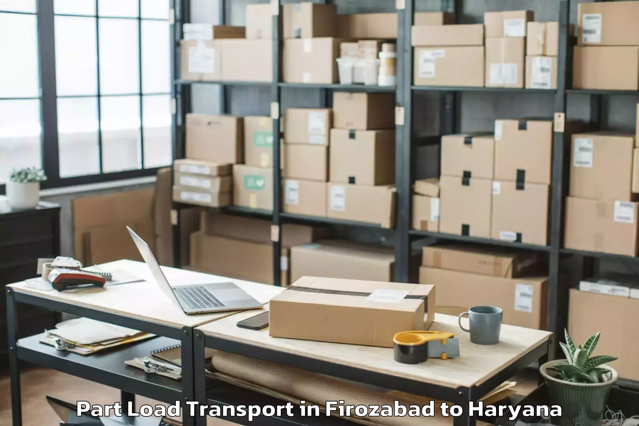 Top Firozabad to Tdi Mall Sonipat Part Load Transport Available